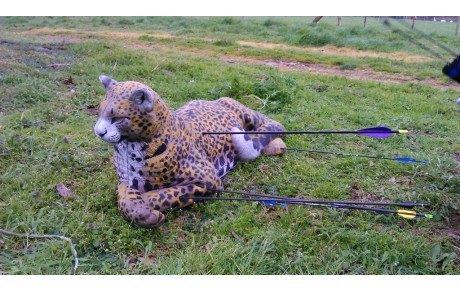 Spécial Tir 3D le 22 mars 2015 – Les Sables d'Olonne