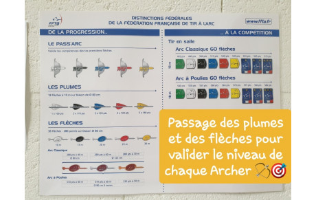 Passage de plumes et flèches ( le 8/12/23 )